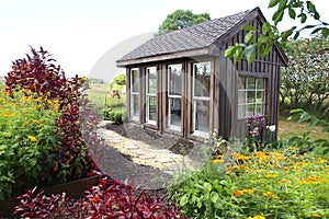 Old Wooden Garden Shed Near Horse Pasture in Lush Summer Cottage Garden