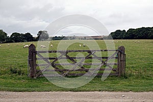 Old wooden gate in front of a sheep farm with sheep grazing in the background under a gloomy sky