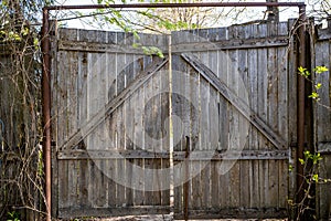 old wooden gate made of planks in village yard