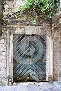 Old wooden green doors in Montenegro in Kotor