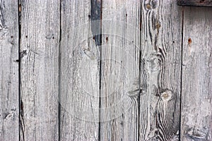 old wooden grey background