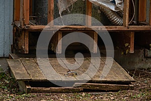 Old wooden hatch to crawlspace damaged