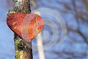 Old wooden heart on tree blue sky and forest background. Red love symbol shape textured outdoors.