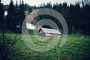 Old wooden house in the Carpathian forest