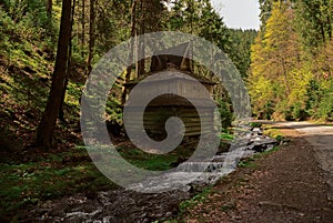 Old wooden house in the forest near the river and forest against the blue sky