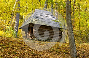 Old wooden house in middle of golden forest