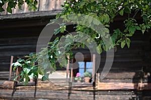 Old wooden house in open-air museum from the 19th century