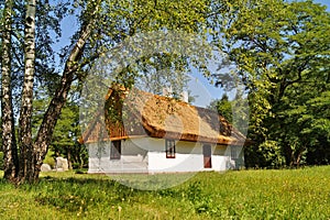 Old wooden house with straw roof