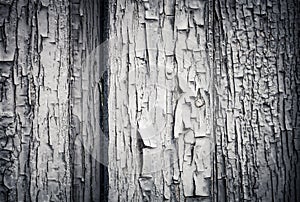 The old wooden houses painted wall. Closeup view. Toned