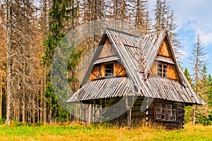 old wooden hut near the forest