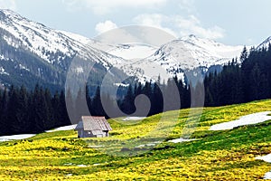 Old wooden hut in spring High Tatras mountains