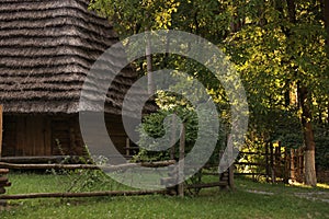 Old wooden hut with straw roof behind fence in forest