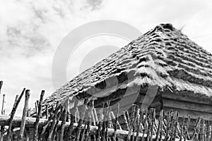 Old wooden hut with a straw roof, traditional Ukrainian hut of the end of 19th and early 20th century