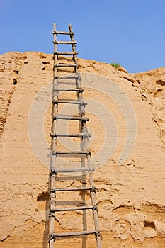 Old wooden ladder