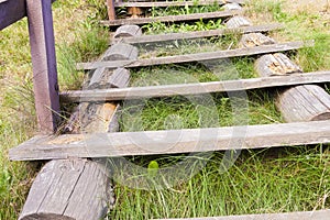 Old wooden ladder