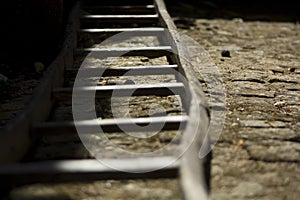 Old wooden ladder