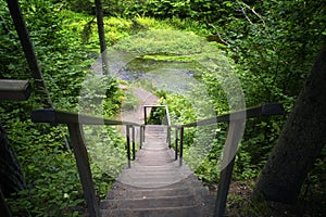 Old wooden ladder. photo