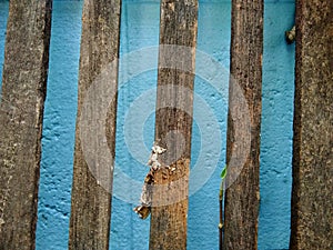 Old wooden lath on blue wall
