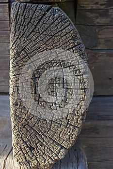 Old wooden log of ancient building  texture of transverse cut