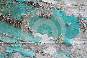 Old wooden maritime background with fossils in green. photo