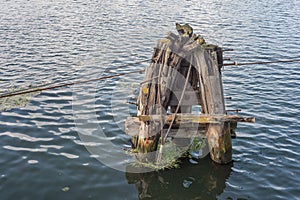 Old wooden mooring bollard in water with steel ropes