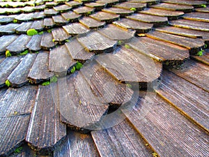 Old wooden mossy laying, Kamenets Podolskiy, Ukraine