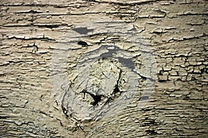 Old wooden painted plank