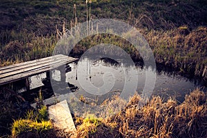 Old wooden path over small pond in garden in early spring