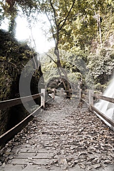 Old wooden pathway