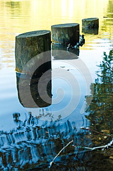 Old wooden pier columns