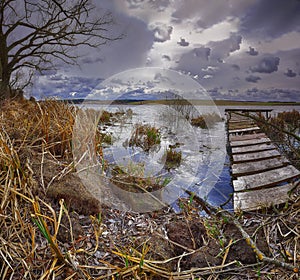 Old wooden pier with dry reed