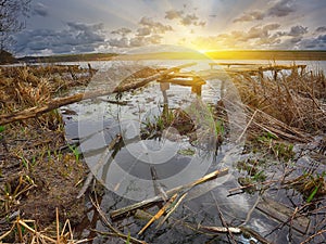 Old wooden pier with dry reed on sunset