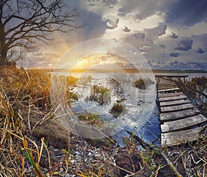 Old wooden pier with dry reed on sunset