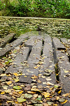 old wooden pier on the lake on the background of the fore