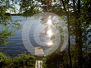 Old wooden pier by a lake in shady woods