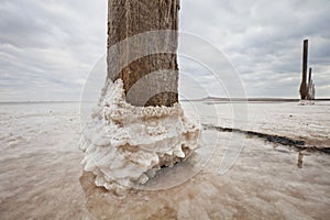 Old wooden pile on saline (salt lake) Baskunchak landscape.