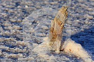 Wooden pillar with salt crystal on lake surface