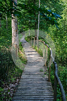 old wooden plank footbridge with stairs in forest