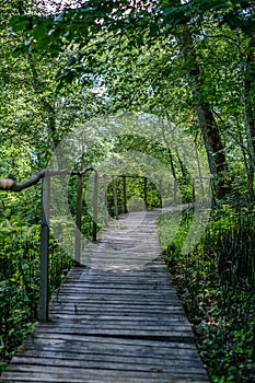 old wooden plank footbridge with stairs in forest