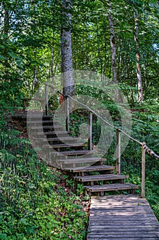 old wooden plank footbridge with stairs in forest