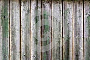 Old wooden plank texture background with traces of green paint