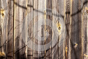 Old wooden plank texture background with traces of yellow paint