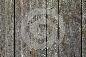 Old wooden planks background texture. Timber wall or weathered fence. Natural structure