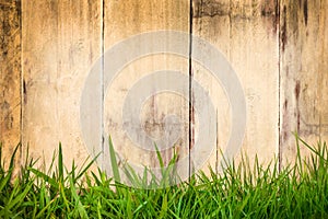 Old wooden planks with green grass in front