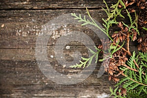 Old wooden planks and leaves of thuja