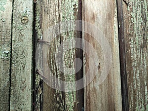 Old wooden planks with paint residues and rusty nails, background, texture