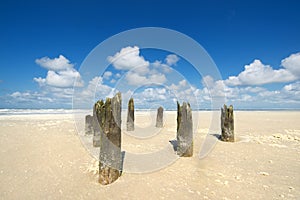 Old wooden poles at the beach