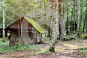 Old wooden political and military school at Phu Hin Rong Kla national park