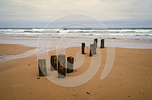 Old Wooden Posts on Cambois Beach