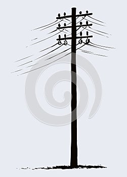 Old wooden power pole